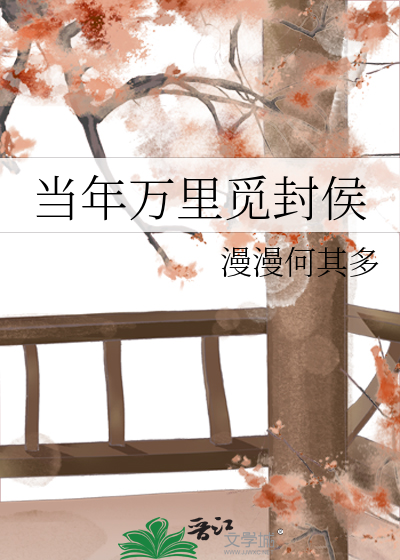 当年万里觅封侯