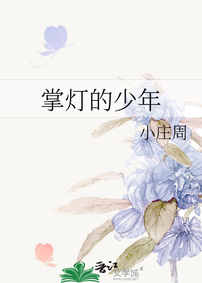 掌灯的少年