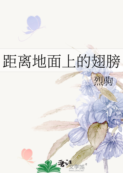 距离地面上的翅膀