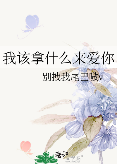 我该拿什么来爱你