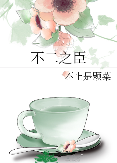 不二之臣