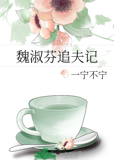 魏淑芬追夫记