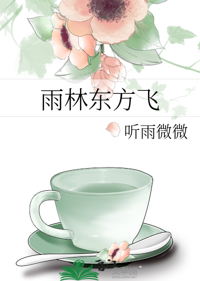 雨林东方飞