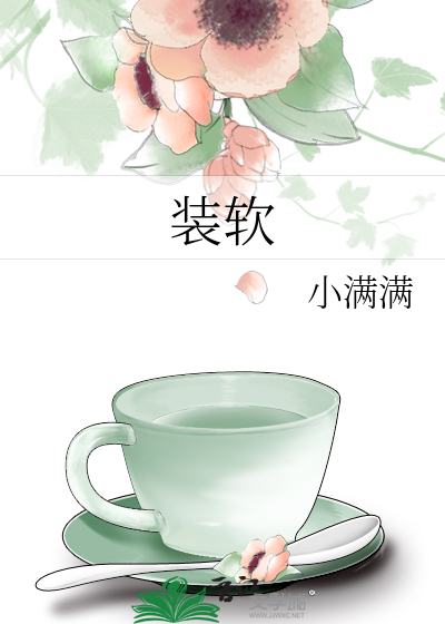 装软