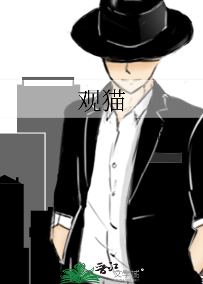 观猫