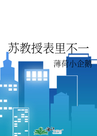 苏教授表里不一