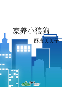 家养小狼狗