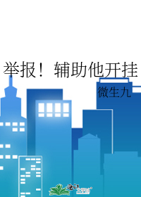 举报！辅助他开挂