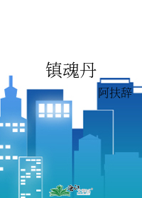 镇魂丹