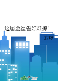 这届金丝雀好难撩！