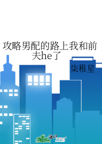 攻略男配的路上我和前夫he了