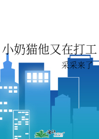 小奶猫他又在打工