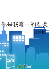你是我唯一的温柔