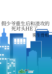 假少爷重生后和渣攻的死对头HE了