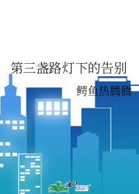 第三盏路灯下的告别