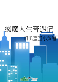 疯魔人生奇遇记