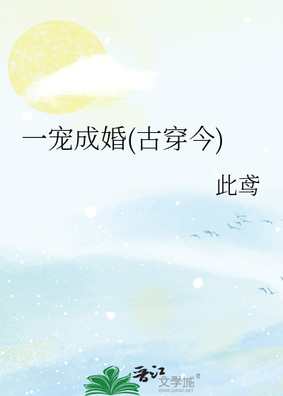一宠成婚(古穿今)