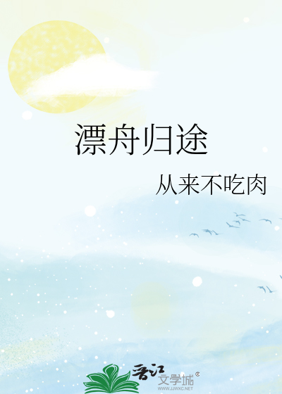 漂舟归途