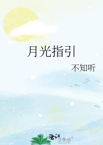 月光指引