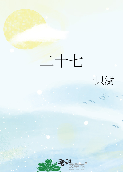 二十七
