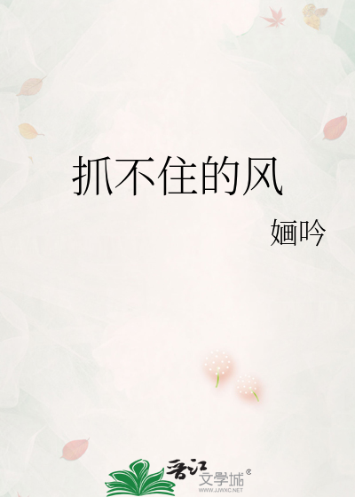 抓不住的风