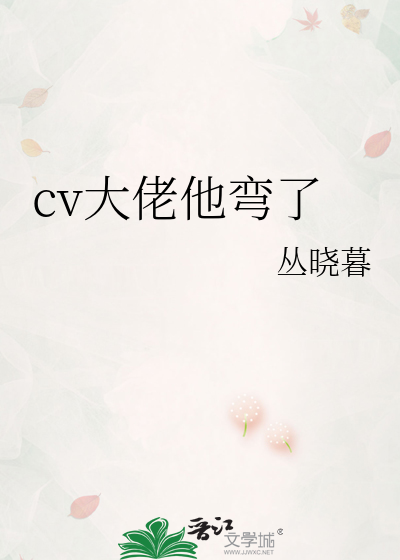cv大佬他弯了