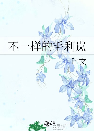 不一样的毛利岚