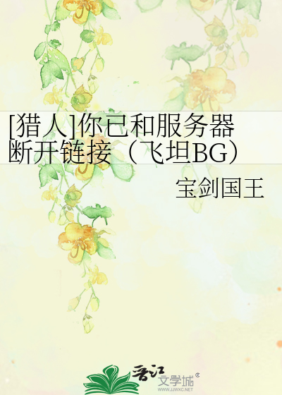 猎人]你已和服务器断开链接（飞坦BG）》宝剑国王_晋江文学城_