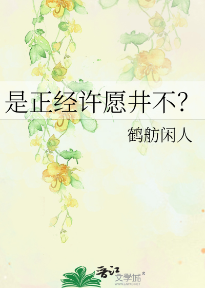 是正经许愿井不？