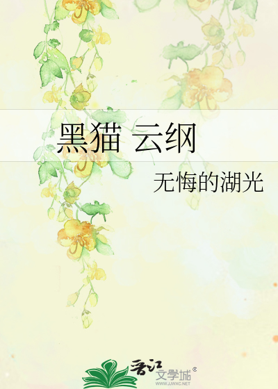 黑猫 云纲