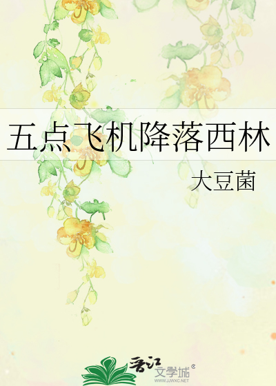 五点飞机降落西林