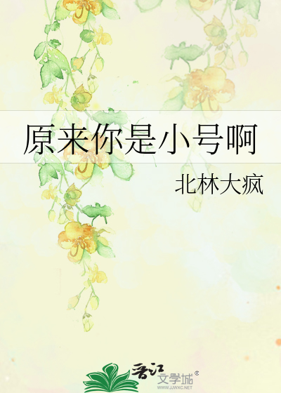 原来你是小号啊