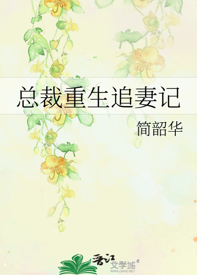 总裁重生追妻记