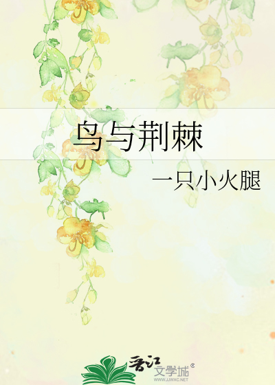 鸟与荆棘
