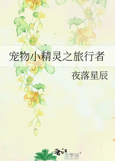 宠物小精灵之旅行者