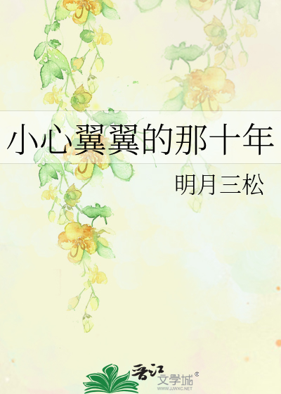 小心翼翼的那十年
