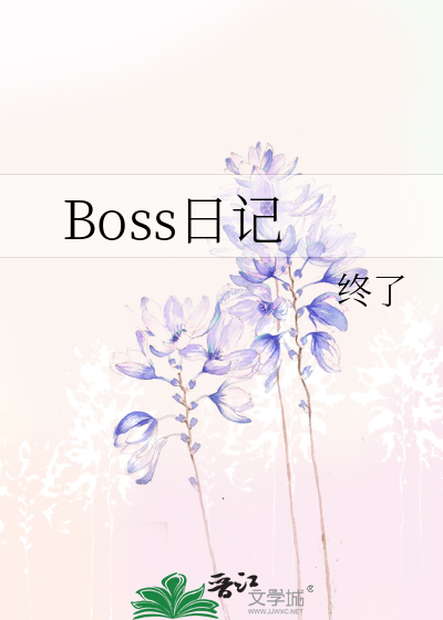 Boss日记