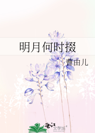 明月何时掇