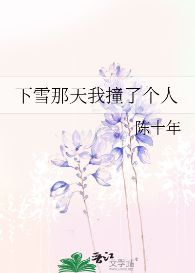 下雪那天我撞了个人