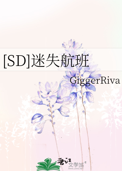 [SD]迷失航班