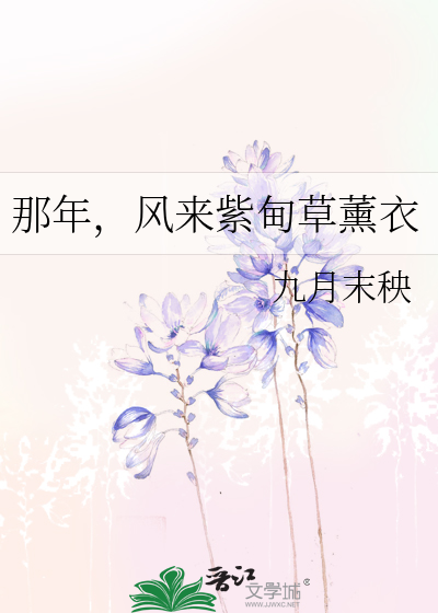 那年，风来紫甸草薰衣