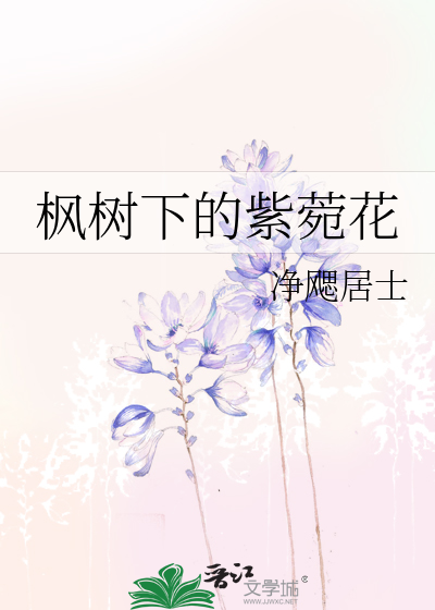 枫树下的紫菀花