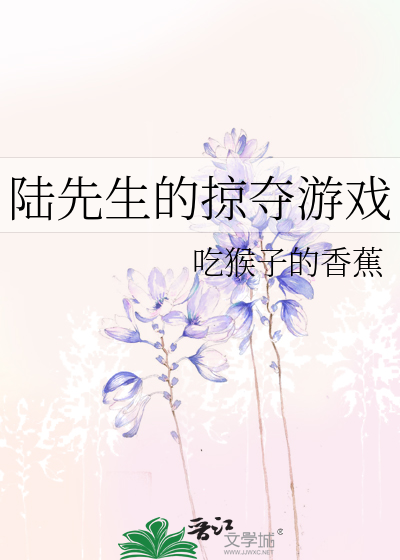 陆先生的掠夺游戏