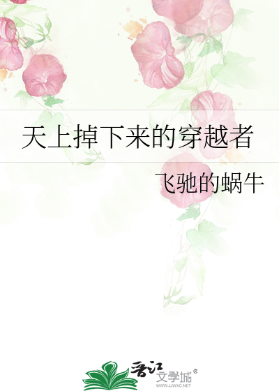 天上掉下来的穿越者
