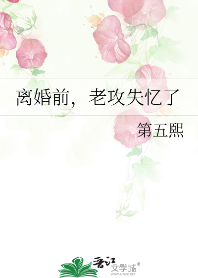离婚前，老攻失忆了