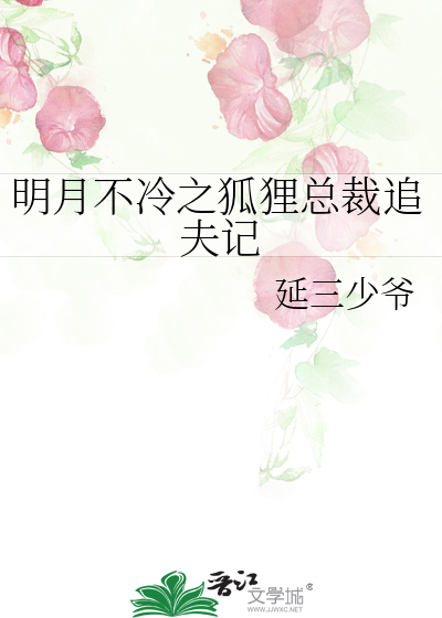 明月不冷之狐狸总裁追夫记