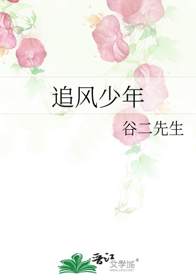 追风少年