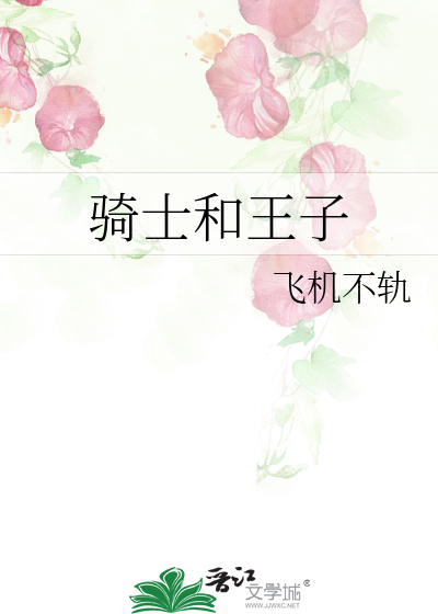 骑士和王子