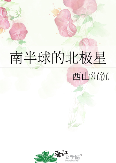 南半球的北极星