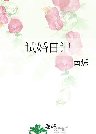 试婚日记